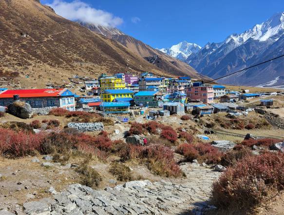 Kyanjin Langtang