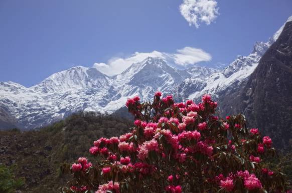 Rundt om Manaslu trek