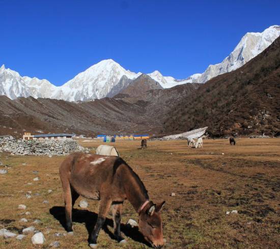 Bhimtang Manaslutrek