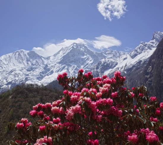 Manaslu Larkya La