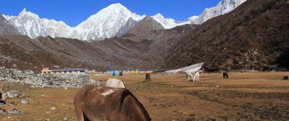 Bhimtang Manaslutrek