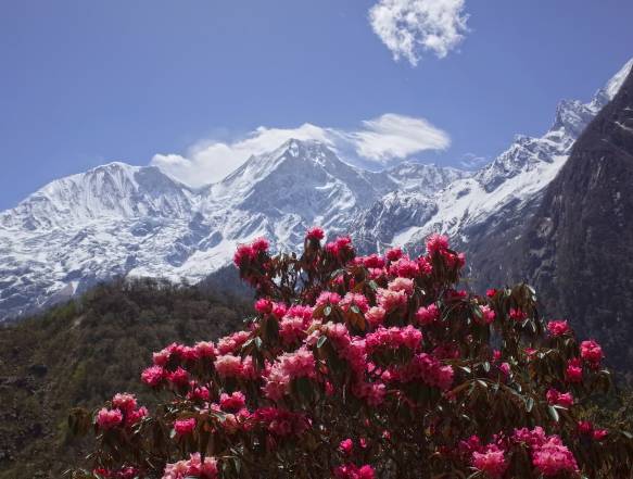 Manaslu Larkya La