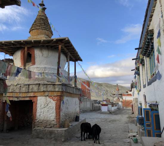 Lhomantang Uppermustangtrek