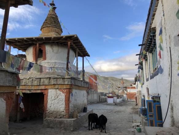 Lhomantang Uppermustangtrek