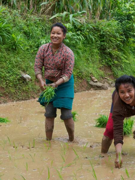 Rundt om det ukendte Nepal