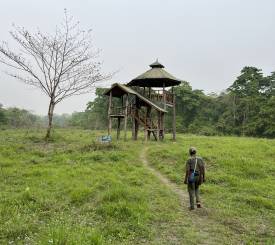 Chitwan-Terai