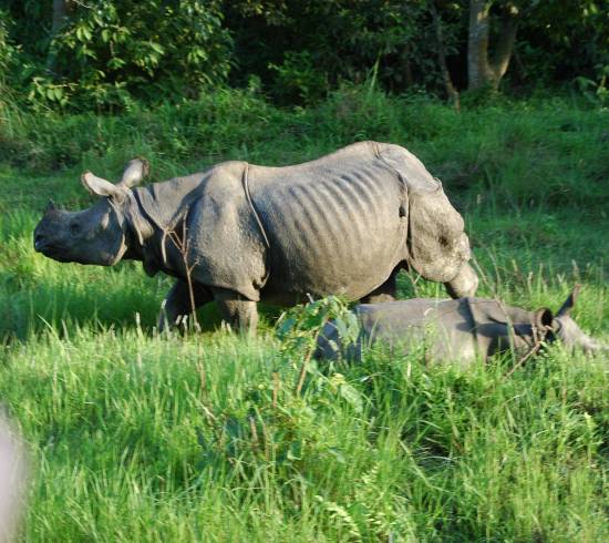 Kathmandu oplevelser