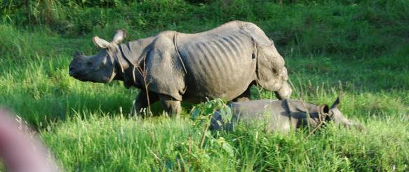 Kathmandu oplevelser