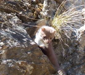 Mu Gompa 3.700 meter