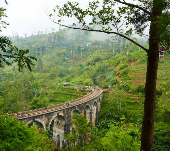 Nine Arch Bridge i Ella Sri Lanka