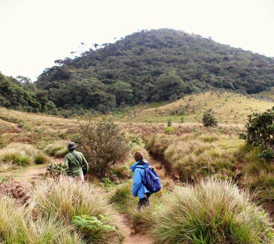 Vandreferie Sri Lanka