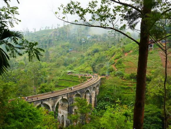 Nine Arch Bridge i Ella Sri Lanka