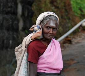 Familie ferie Sri Lanka