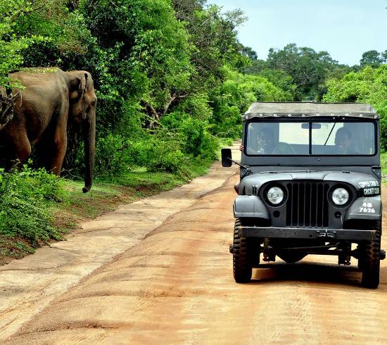 Minneriya-nationalpark