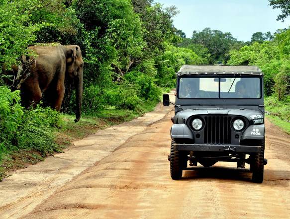 Minneriya-nationalpark