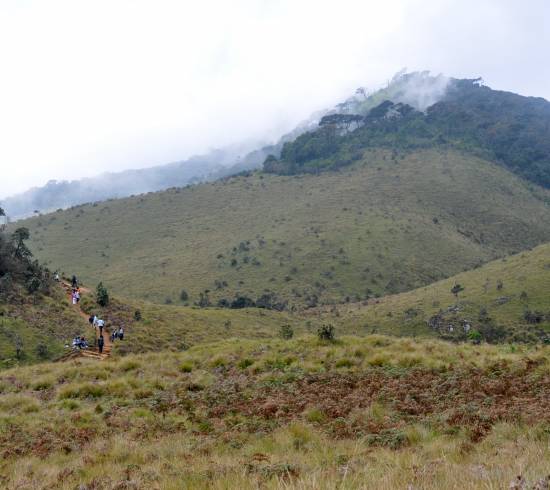 Horton Plains