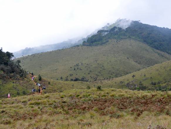 Horton Plains