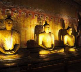 Dambulla Srilankarejse