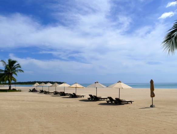 Sinharajas smukke regnskov