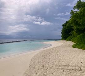 Strandrestaurant Maldiverne