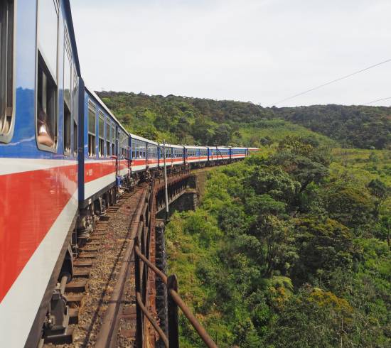 Togrejse Ella Sri Lanka og Temarker Nuwara Eliya