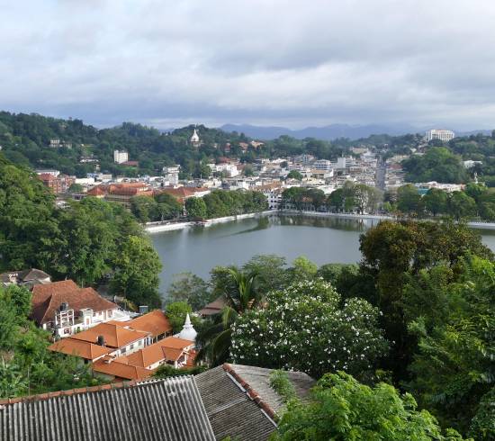 Krydderhave og Kandy