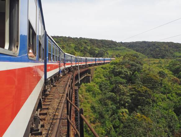 Togrejse Ella Sri Lanka og Temarker Nuwara Eliya