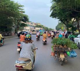 Vietnamrejser Hanoi