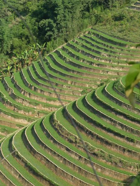 Aktive Vietnam