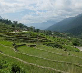 Trekkingtur i Sapa: Cat Cat - Y Linh Ho - Lao Chai Homestay