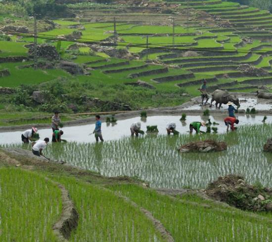 vandring langs risterrasser og over højderygge gennem Muong Hoadalen mod landsbyen Ta Van.