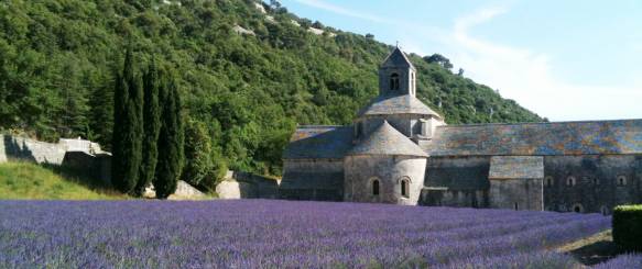 Senanque klosteret i Provence