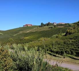 Monferrato-området til Acqui Terme og Ovada eller Torino og Asti