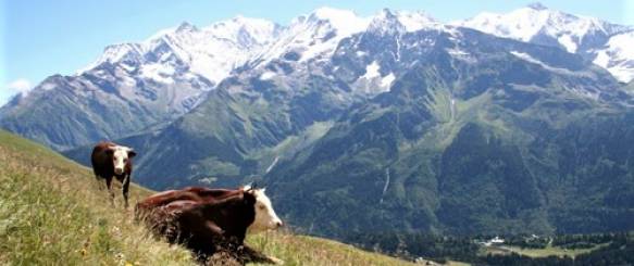Bjergstier i Chur