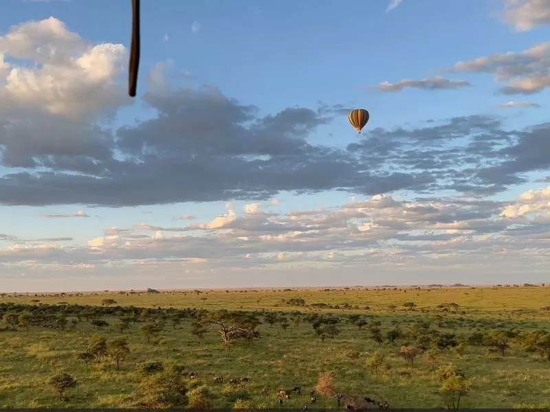 Oplev The Big Five i Tanzania