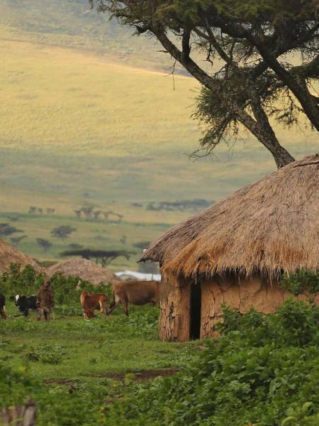 Safari, Hadza-folket og Victoriasøen