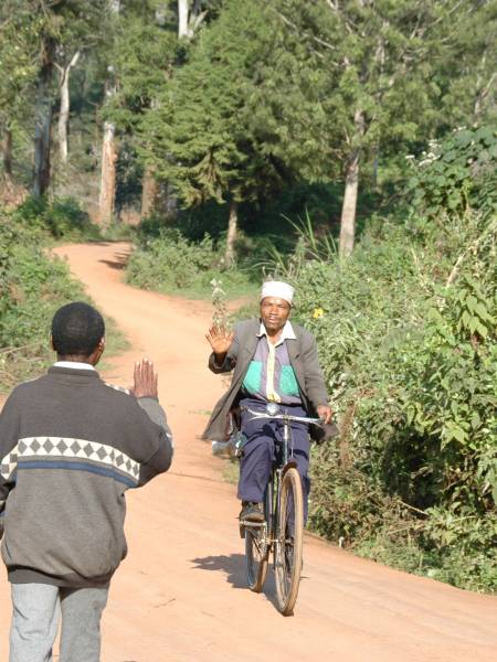 Usambara og savanne