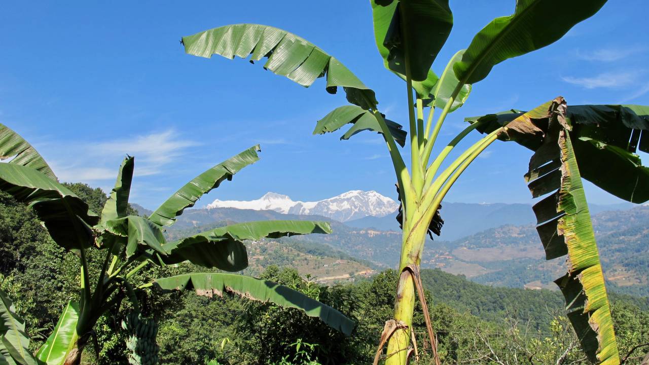 Begnas Tal og bjergudsigt til Annapurna