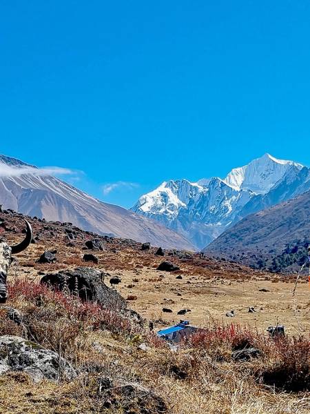 Langtang dalen