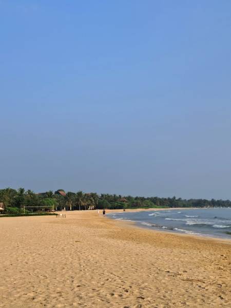 Sommerrejse til Sri Lanka