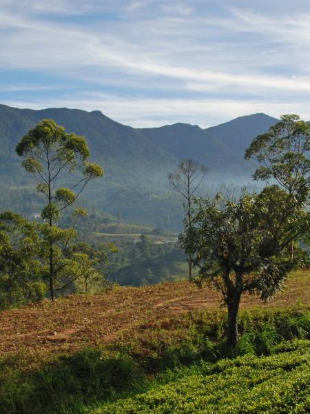 Aktive Sri Lanka