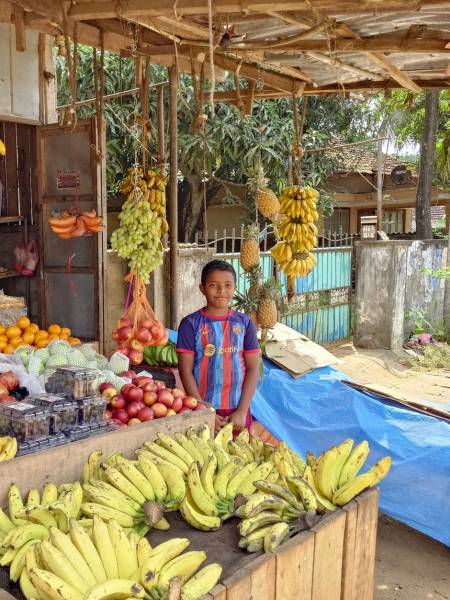 Sri Lanka med Jaffna og Pasekudah