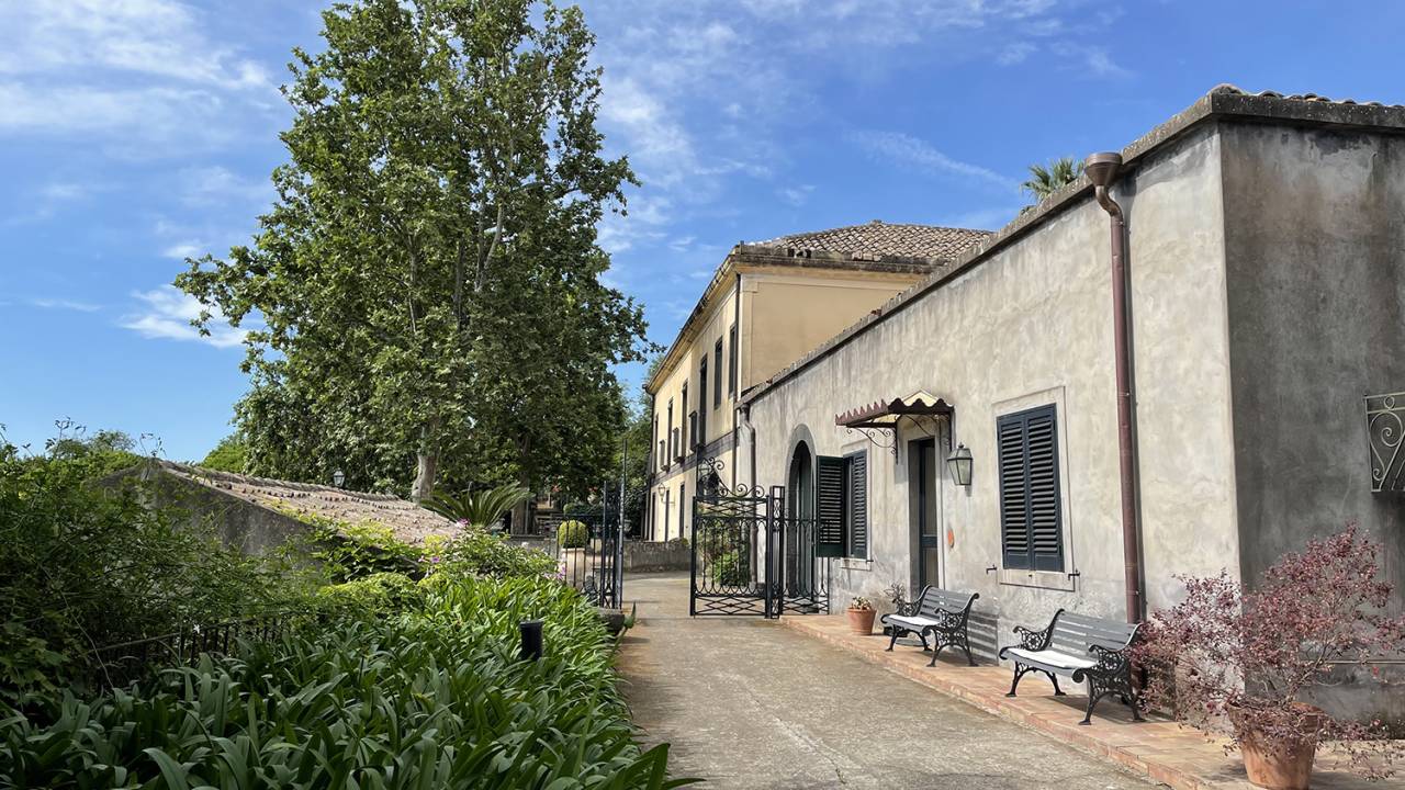 Tagliaborsa Giarre Sicilien