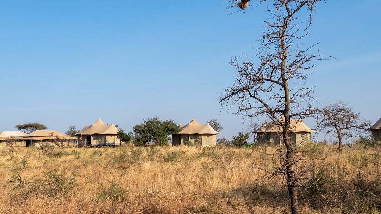 Safari telt Serengeti WildCamp Kipling Travel
