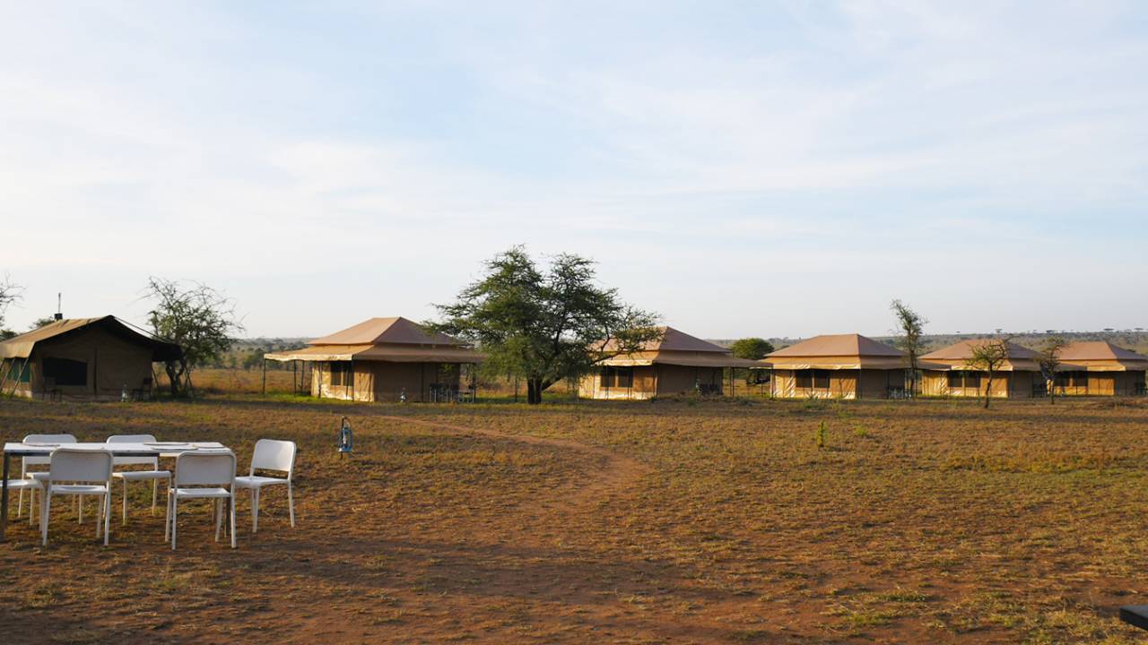 Safari camp