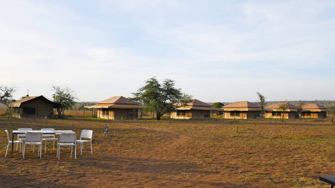 Serengeti Afrikasafari KiplingTravel