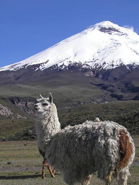 Ecuadors vulkaner, Cotopaxi, 5.897 meter