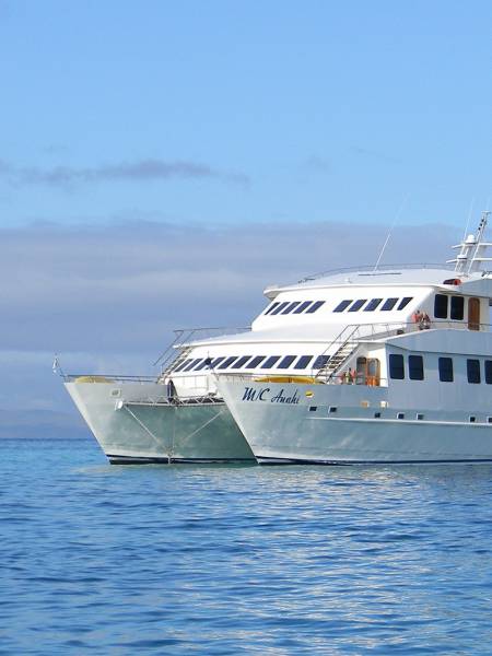 Ecuador og det store Galapagos krydstogt