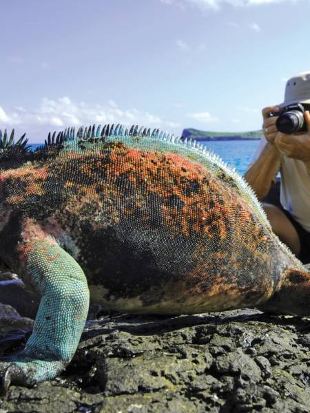 Galapagos ø-hop