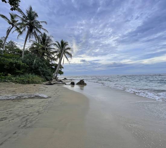 Playa Cocles, Playa Chiquita